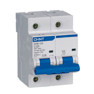 NXB-125 Moulded Case Circuit Breaker