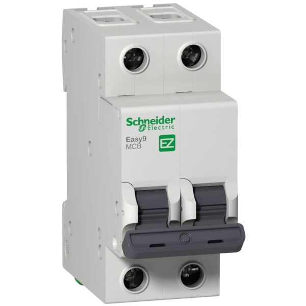 Schneider Easy9 2 Pole Miniature Circuit Breaker 6 kA